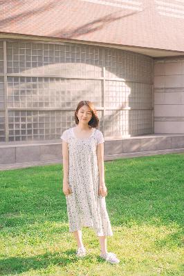 文豪野犬第一季在线观看